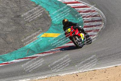 media/Jun-24-2022-TrackDaz (Fri) [[aa6850b51f]]/Group B/245pm (Corkscrew)/